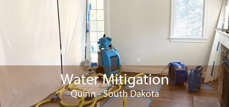 Water Mitigation Quinn - South Dakota