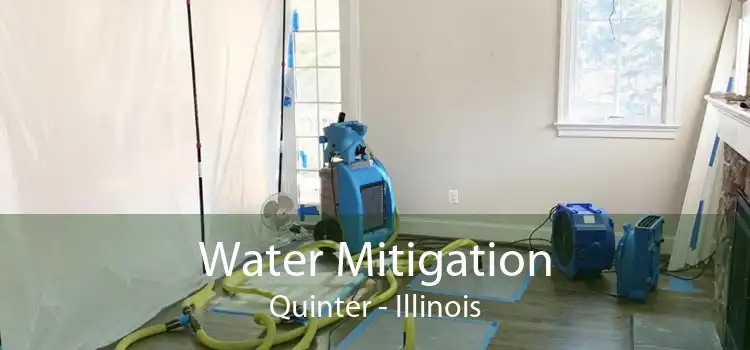 Water Mitigation Quinter - Illinois