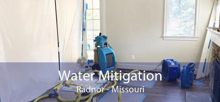 Water Mitigation Radnor - Missouri