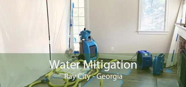 Water Mitigation Ray City - Georgia