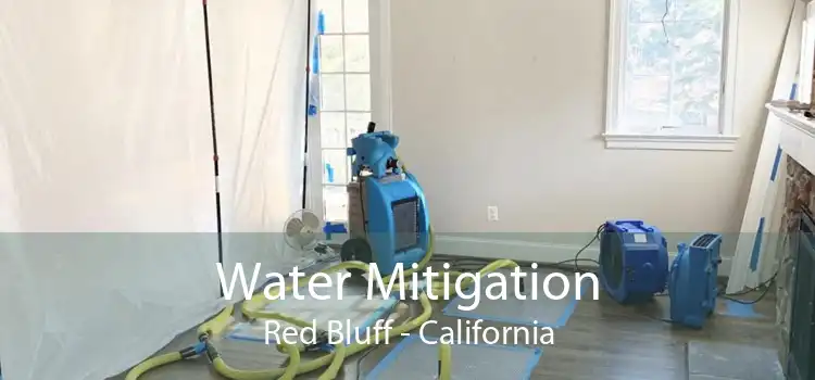 Water Mitigation Red Bluff - California