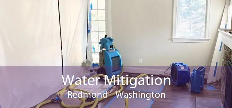 Water Mitigation Redmond - Washington