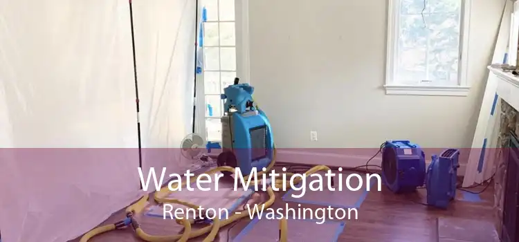 Water Mitigation Renton - Washington