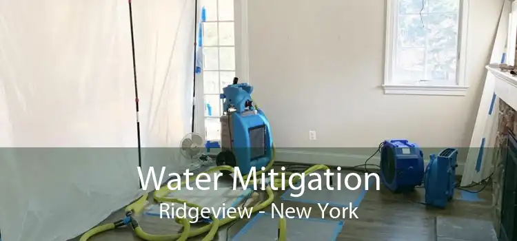 Water Mitigation Ridgeview - New York