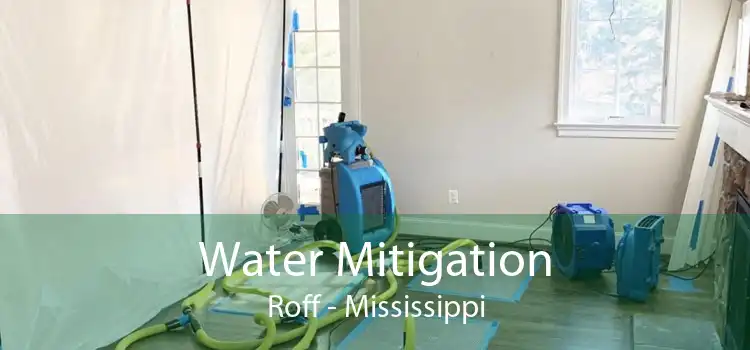 Water Mitigation Roff - Mississippi