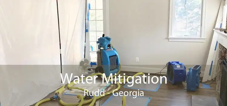 Water Mitigation Rudd - Georgia