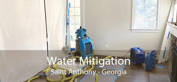 Water Mitigation Saint Anthony - Georgia