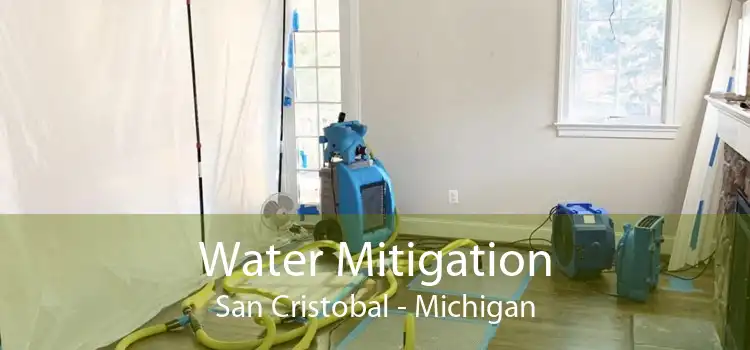 Water Mitigation San Cristobal - Michigan