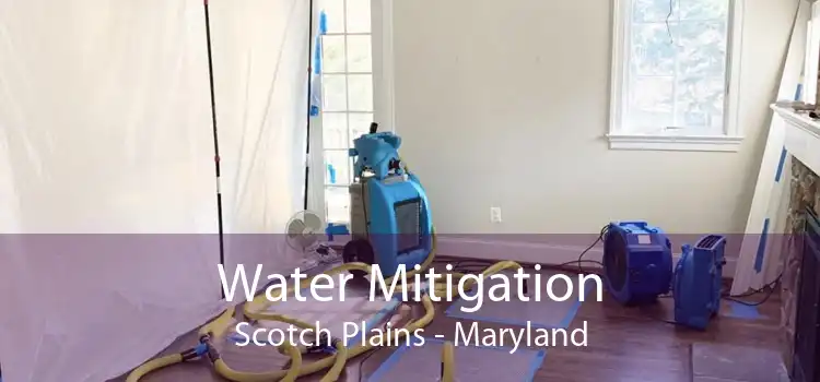 Water Mitigation Scotch Plains - Maryland