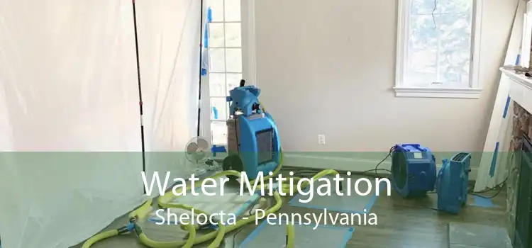 Water Mitigation Shelocta - Pennsylvania