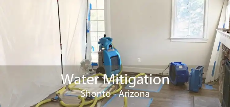 Water Mitigation Shonto - Arizona
