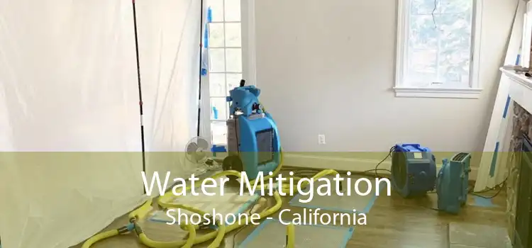 Water Mitigation Shoshone - California