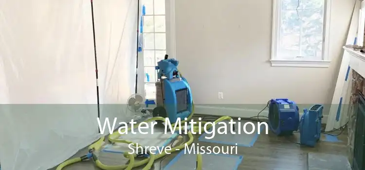 Water Mitigation Shreve - Missouri