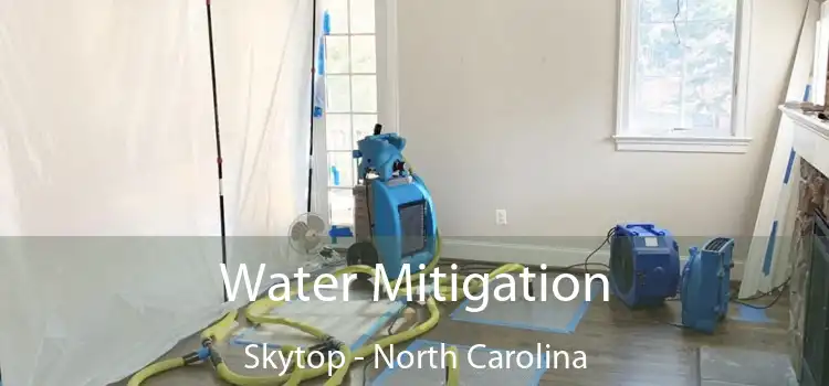 Water Mitigation Skytop - North Carolina