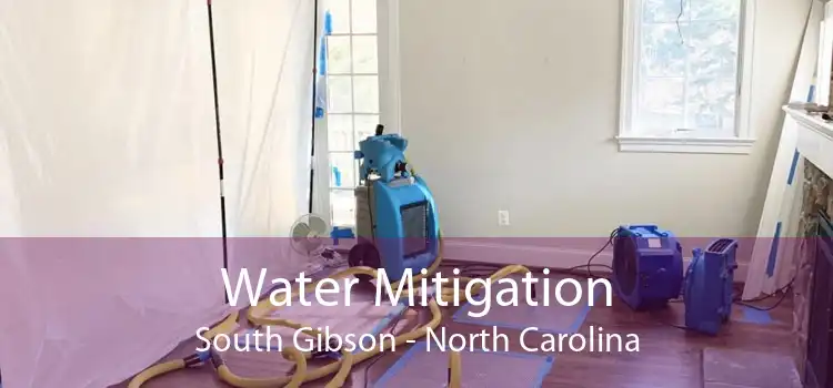 Water Mitigation South Gibson - North Carolina