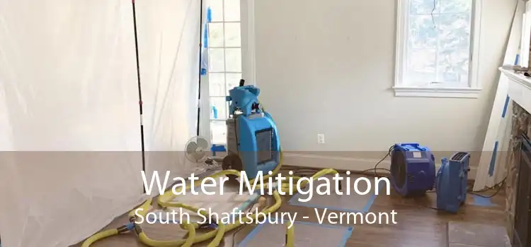 Water Mitigation South Shaftsbury - Vermont
