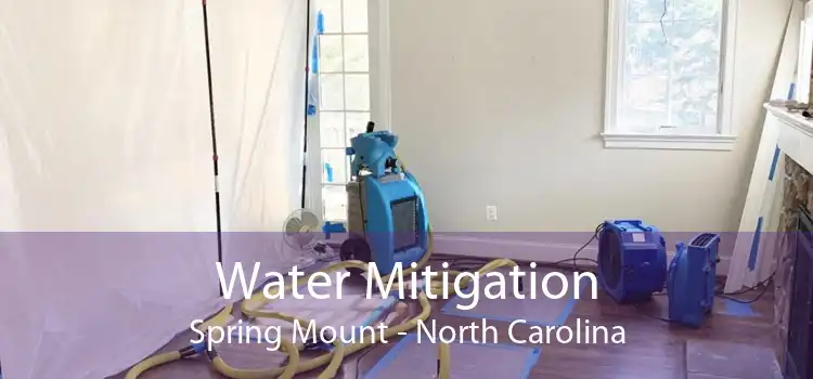 Water Mitigation Spring Mount - North Carolina