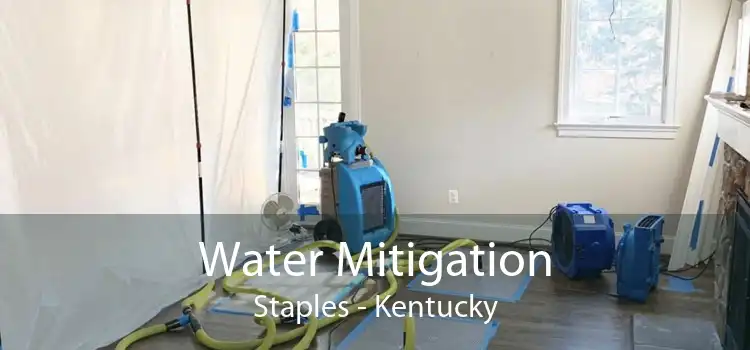 Water Mitigation Staples - Kentucky