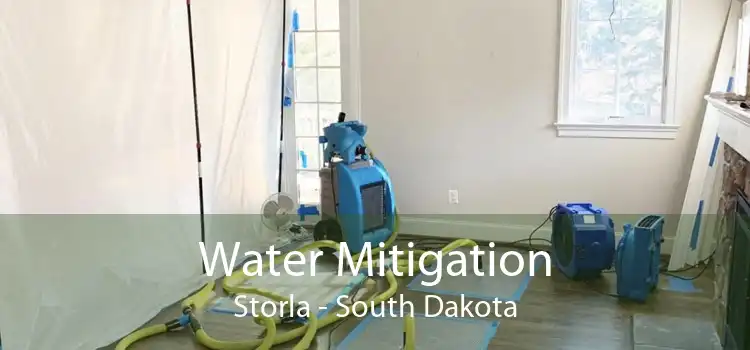 Water Mitigation Storla - South Dakota