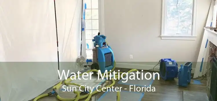 Water Mitigation Sun City Center - Florida