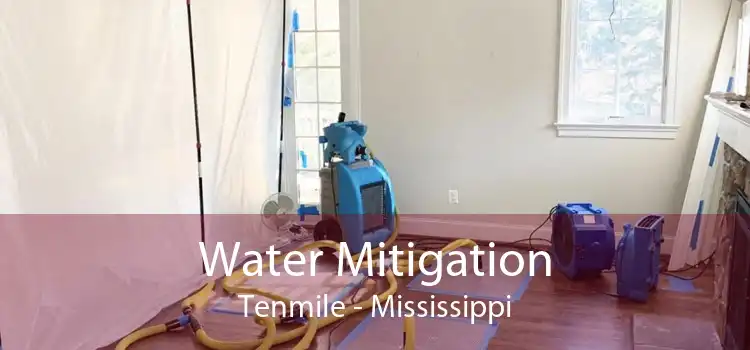 Water Mitigation Tenmile - Mississippi