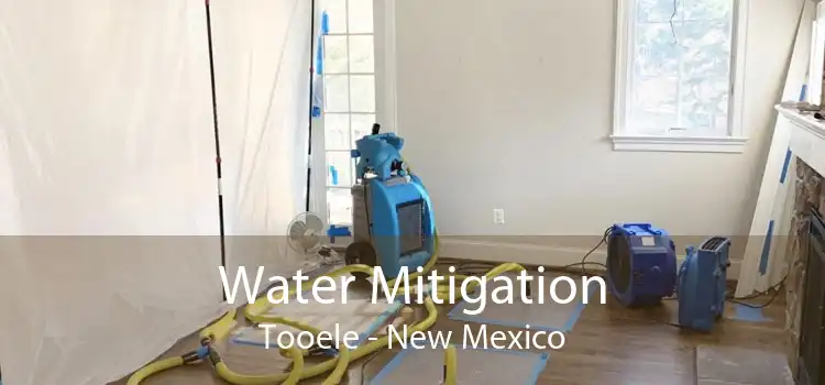 Water Mitigation Tooele - New Mexico