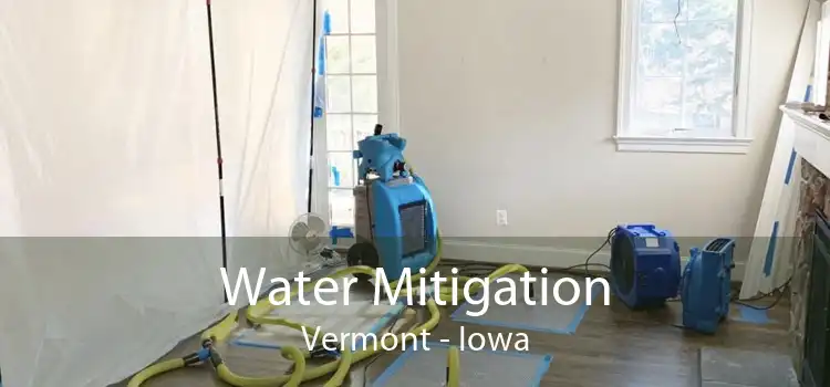 Water Mitigation Vermont - Iowa