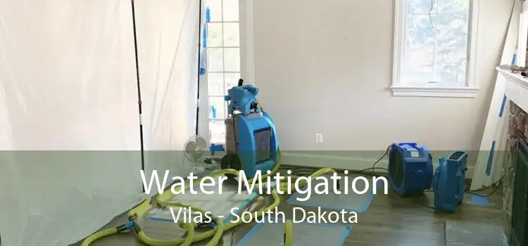 Water Mitigation Vilas - South Dakota