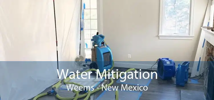 Water Mitigation Weems - New Mexico