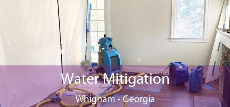 Water Mitigation Whigham - Georgia