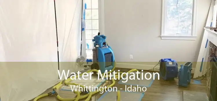 Water Mitigation Whittington - Idaho