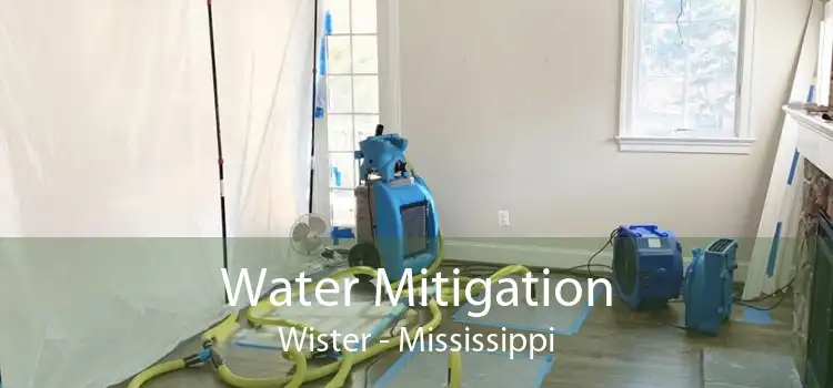 Water Mitigation Wister - Mississippi