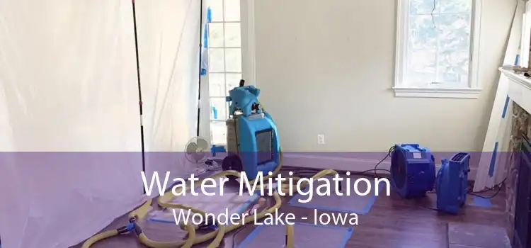 Water Mitigation Wonder Lake - Iowa