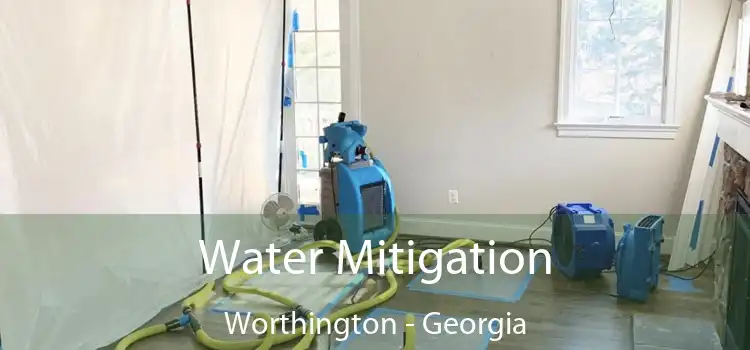 Water Mitigation Worthington - Georgia