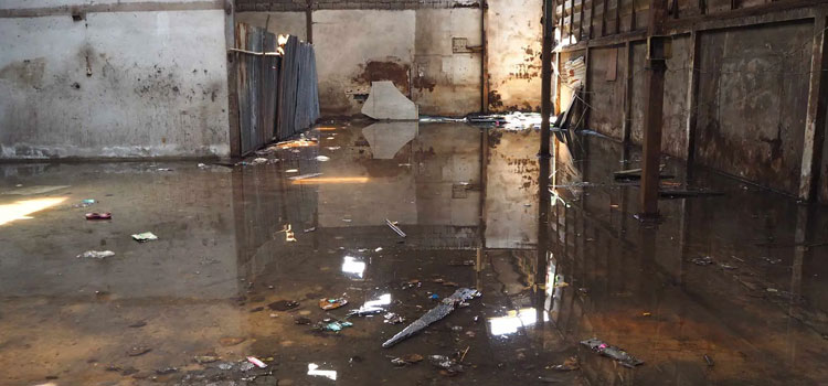 Basement Flood Cleanup Services in Pride, IN