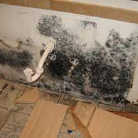 Basement Mold Remediation in Kure Beach, MA