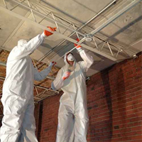 Commercial Mold Remediation in Branch, LA