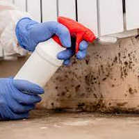 Home Mold Remediation in Winchendon, IN