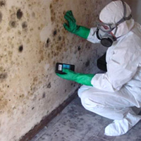 Mold Remediation Contractor in Branch, LA