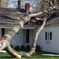 Professional Storm Damage Restoration in Manchester Center, NY