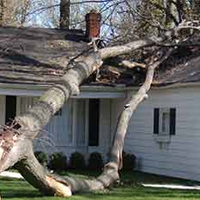 Professional Storm Damage Restoration in Branch, LA