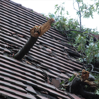 Roof Storm Damage Repair in Hartshorn, LA