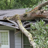 Roof Storm Damage Restoration in Branch, LA