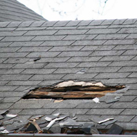 Storm Damage Restoration Services in Branch, LA