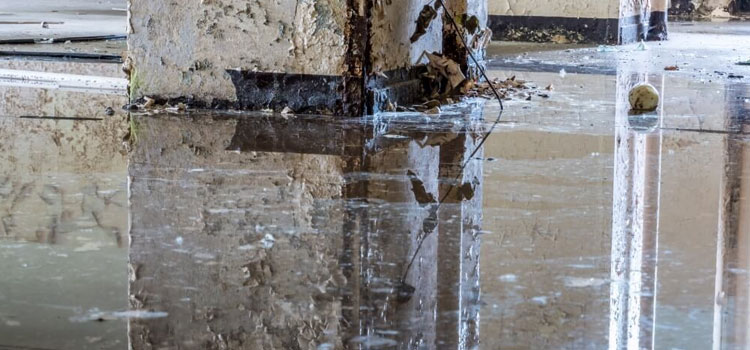 Water Mitigation Near Me in Welsh, LA